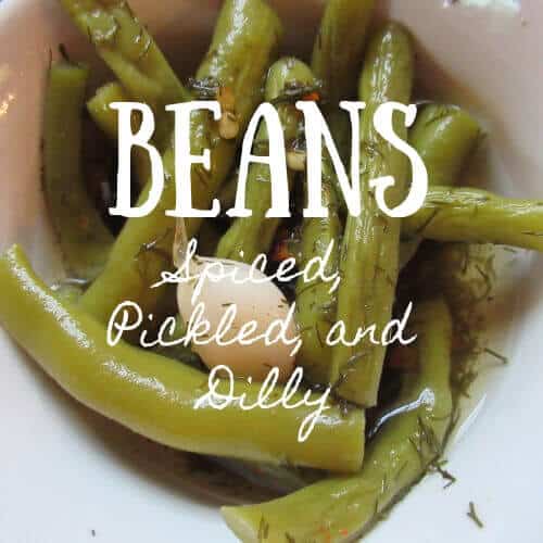 Beans Spiced, pickled and dilly