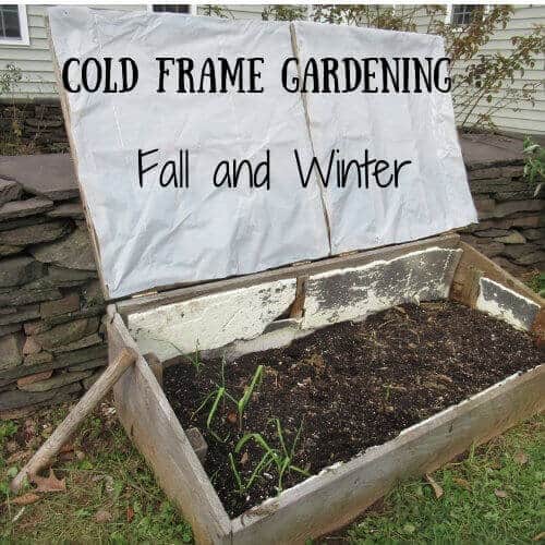 cold_frame_gardening