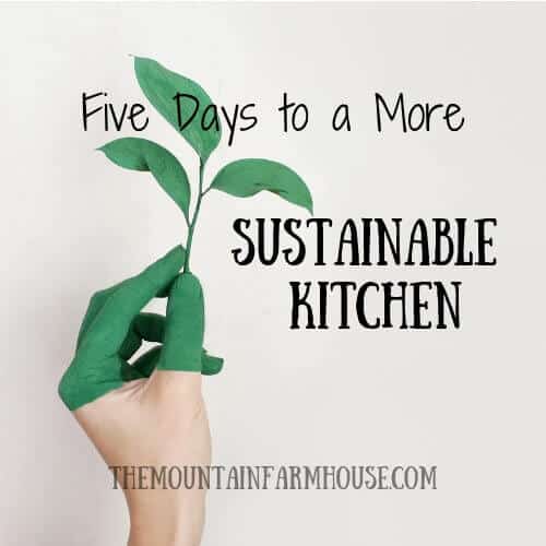 Five Days to a More Sustainable Kitchen