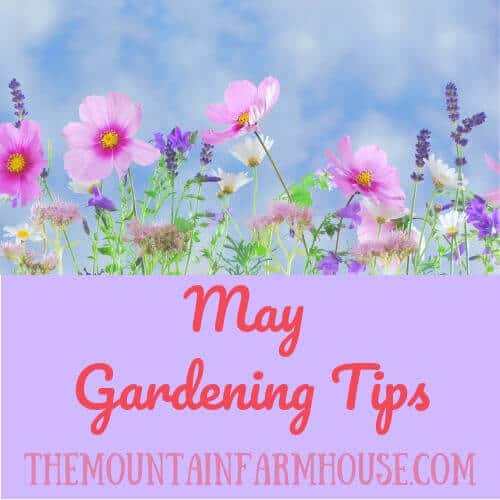 May Gardening Tips with flowers