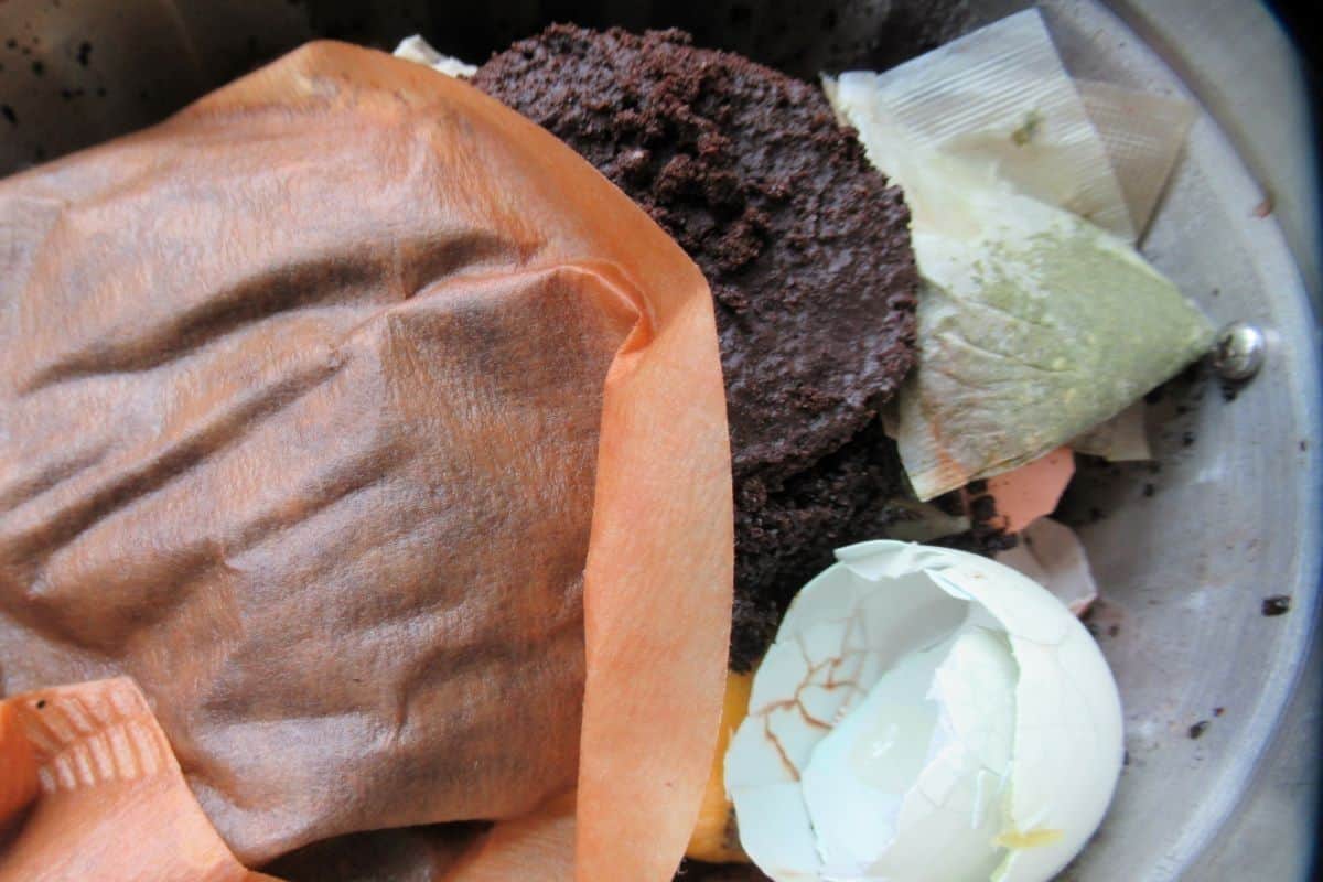 used brown coffee filter, dark brown coffee grounds, off-white tea bags, broken, white eggshells for compost
