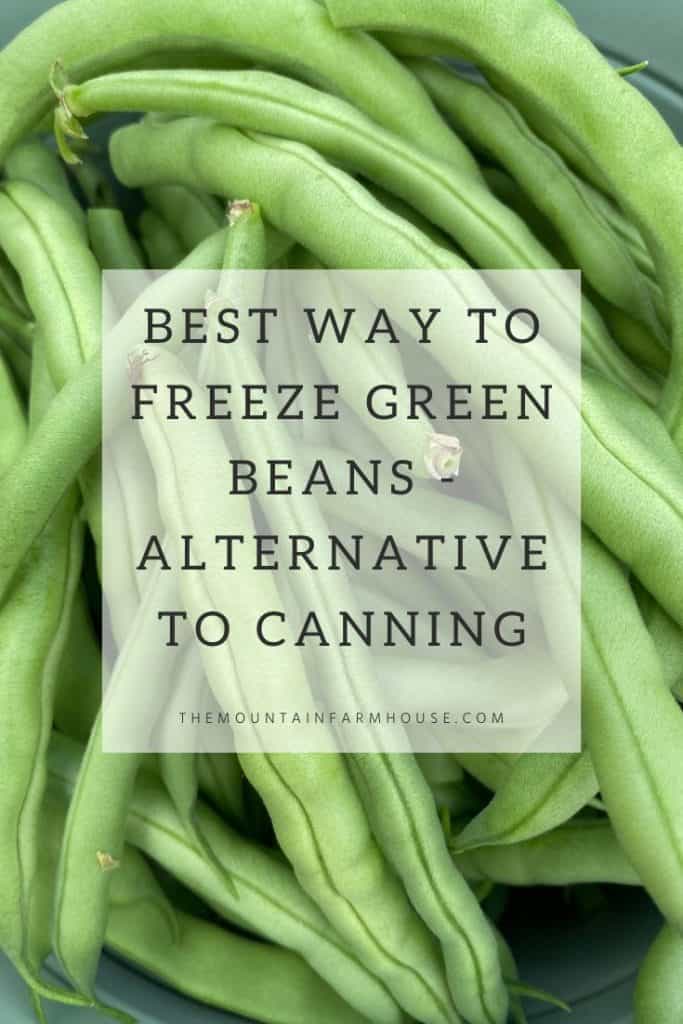 Fresh, raw green beans with writing, "Best Way to Freeze Green Beans-Alternative to Canning" Pinterest pin