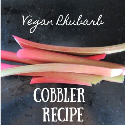 Vegan RHUBARB Cobbler recipe