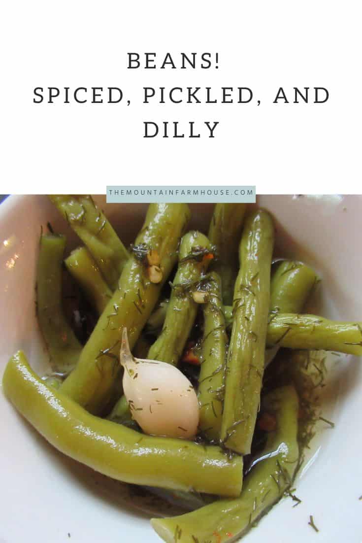 pickled green beans with garlic clove Pinterest pin