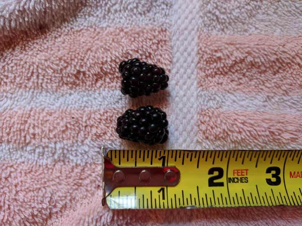 Measuring blackberries