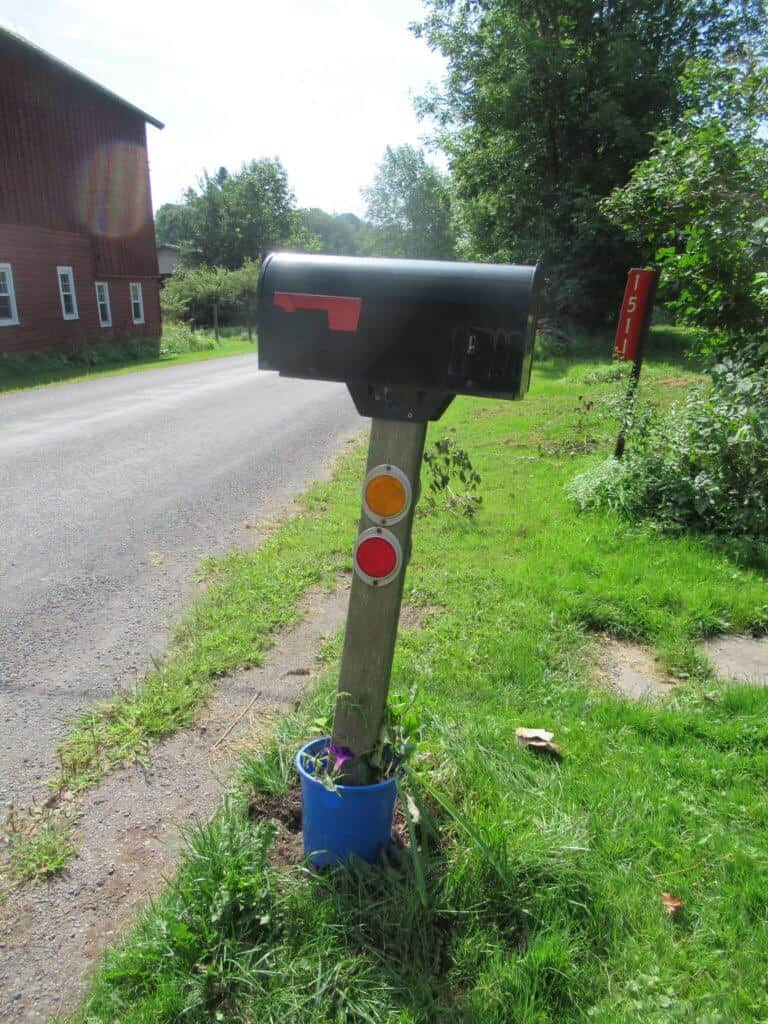 Mailbox with flowers
