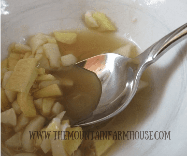 Stirring garlic, ginger, lemon juice, and agave nectar with spoon
