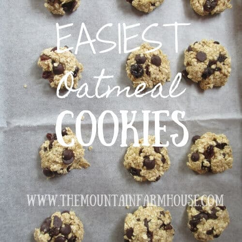 Easiest Oatmeal Cookies