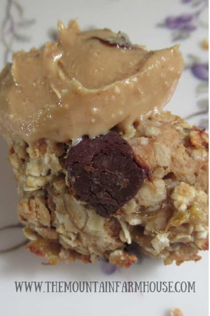 Oatmeal cookie with peanut butter