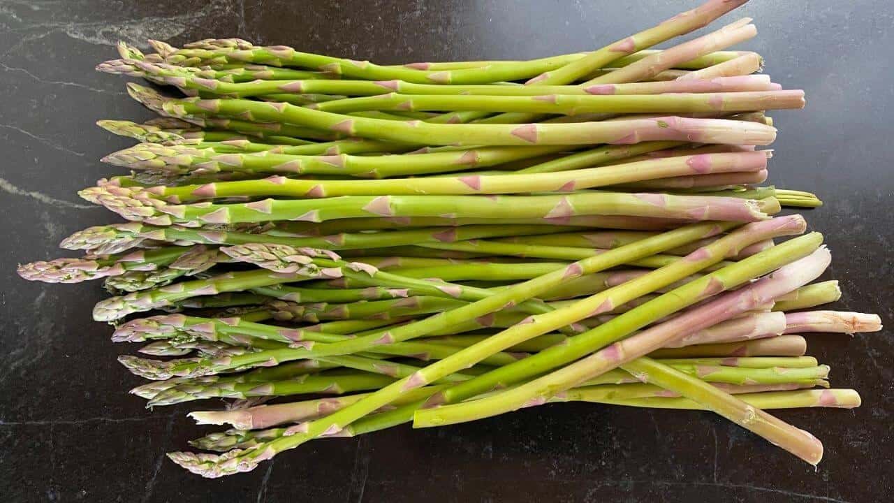 Fresh Asparagus Spears
